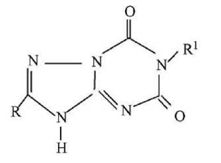 专利审查指南218821.png 专利审查指南218821.png