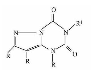 专利审查指南218832.png 专利审查指南218832.png